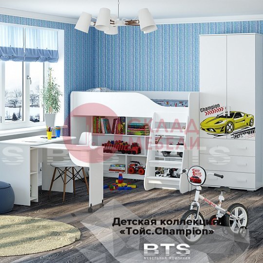  Шкаф Тойс 2Д BTS 